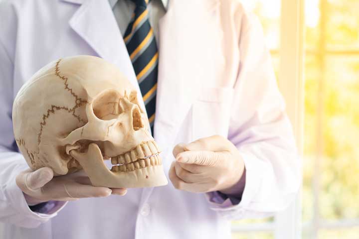 المرحلة ما قبل السريرية لدراسة الطب البشري