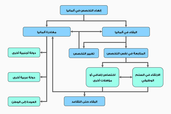 الخيارات الواردة بعد إنهاء التخصص