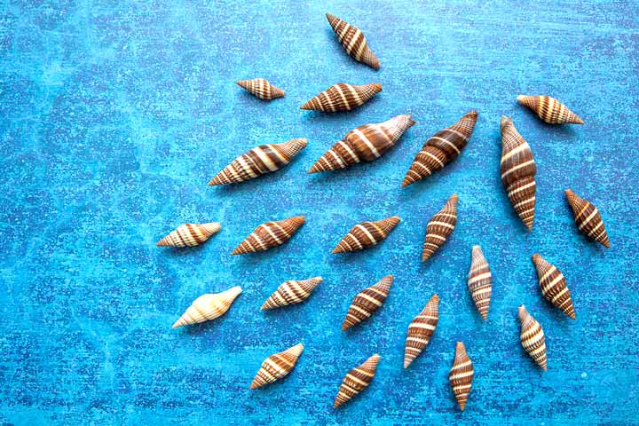 تفاوت تجارب الأطباء في ألمانيا