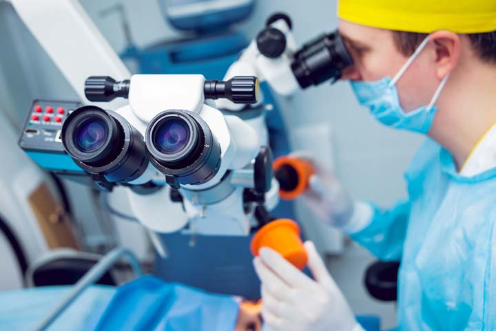 العمليات العينية في ألمانيا