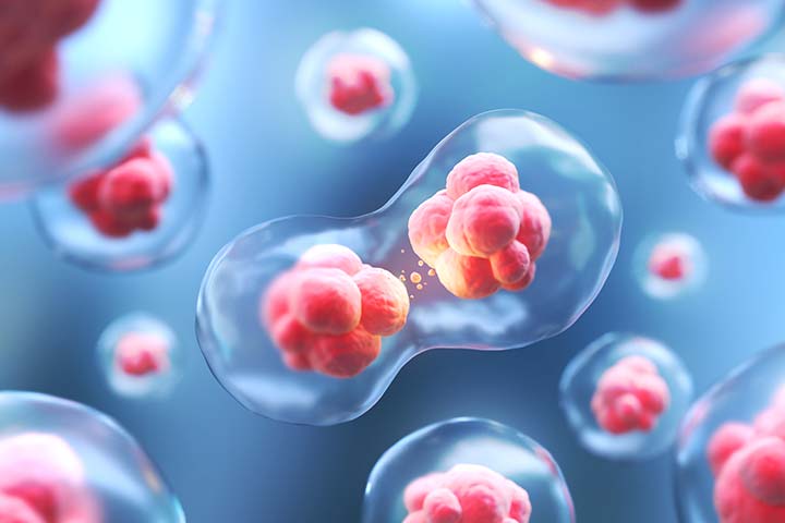 تخصصات علاج الأورام في ألمانيا