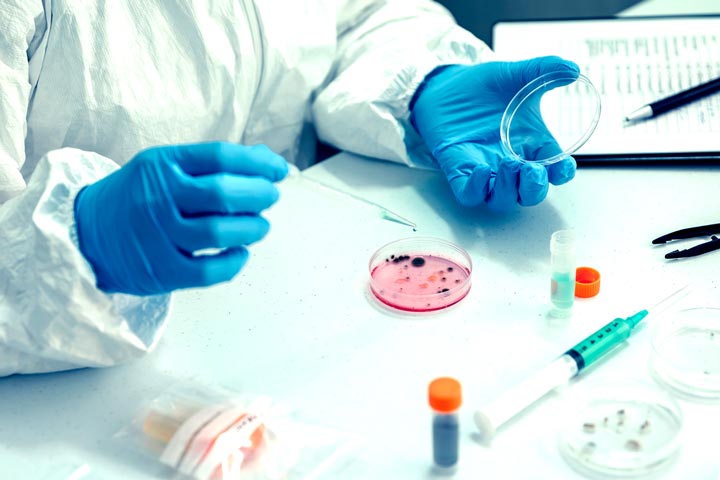 تخصص الجراثيم في ألمانيا