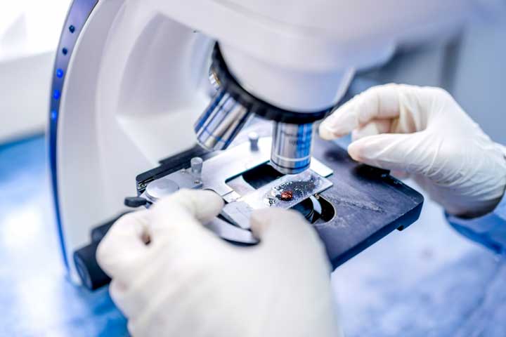 تخصص التشريح المرضي في ألمانيا