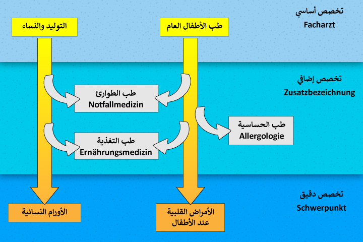 انقر للتكبير مفهوم التخصص الطبي الأساسي والإضافي والدقيق في ألمانيا